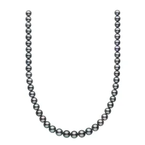 8.0-10.5 mm AA /AAA Tahitian Round Pearl Necklace