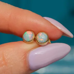 9ct Gold Opal Stud Earrings