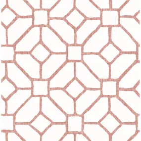 Addis Coral Trellis Wallpaper  | Brewster Wallcovering