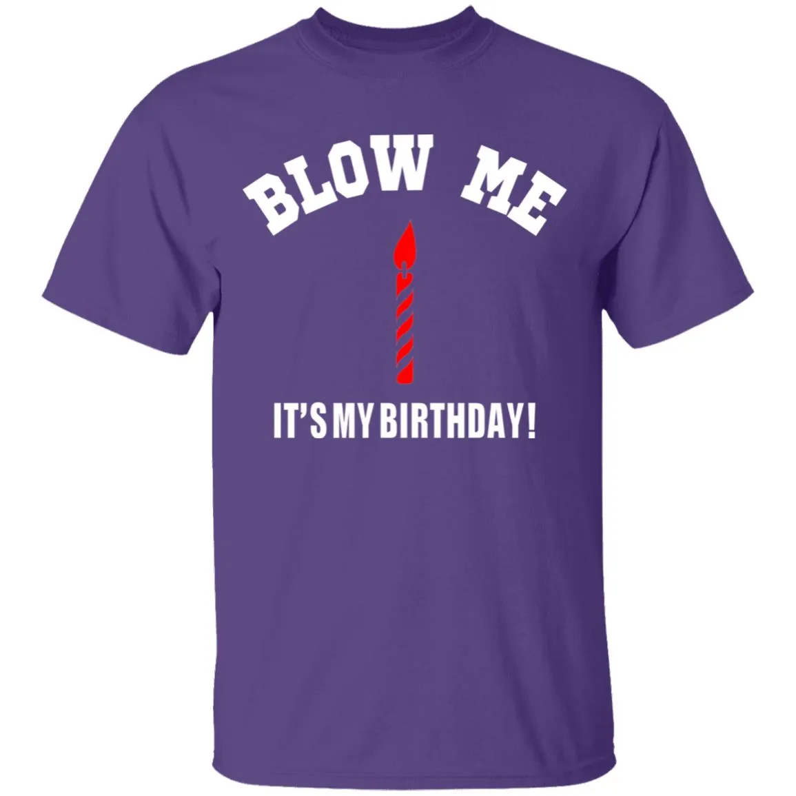 Blow Me It's My Birthday T-Shirt