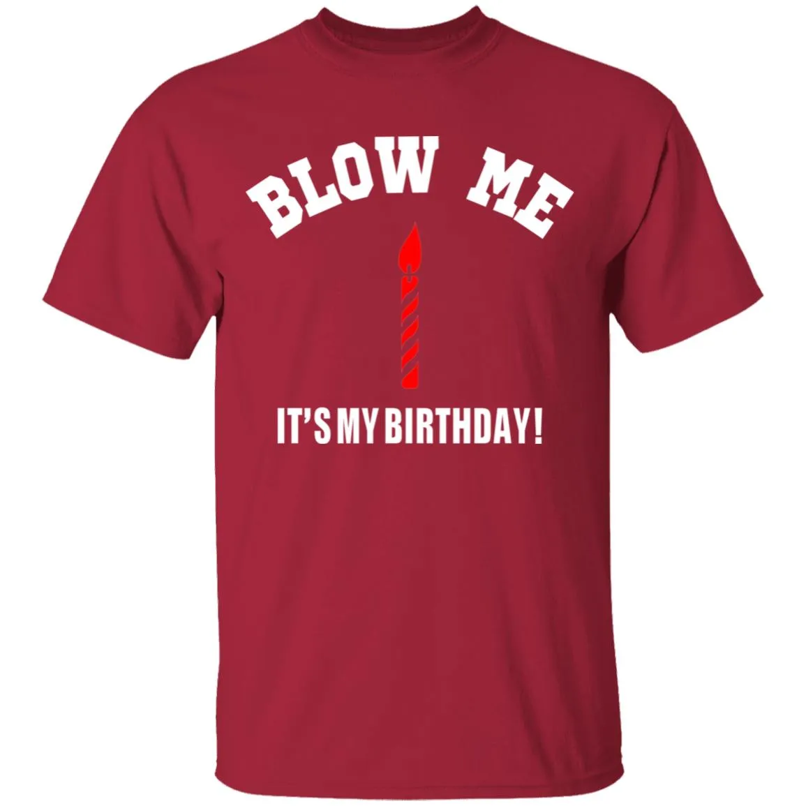 Blow Me It's My Birthday T-Shirt