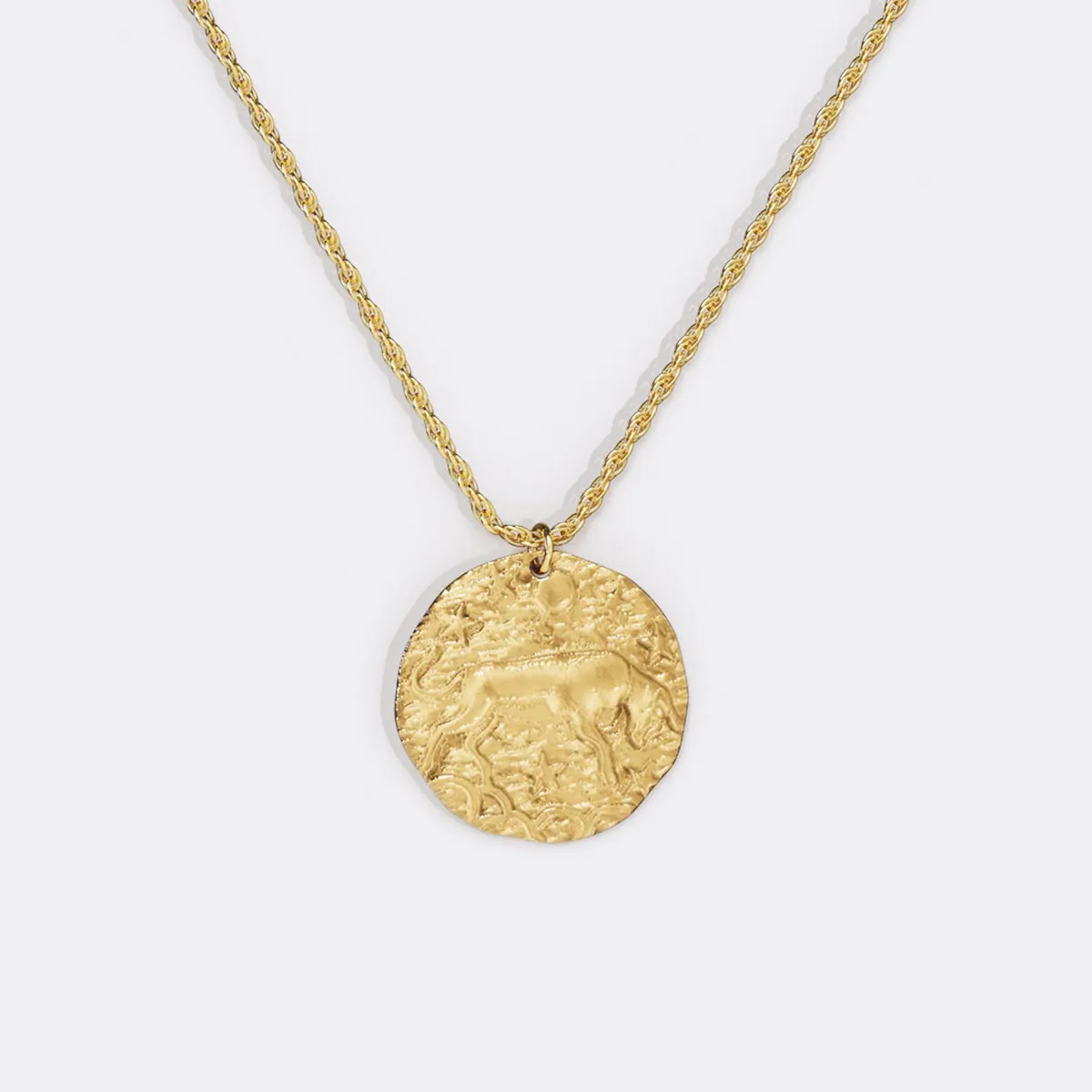 Hammered Gold Zodiac Pendant Necklace