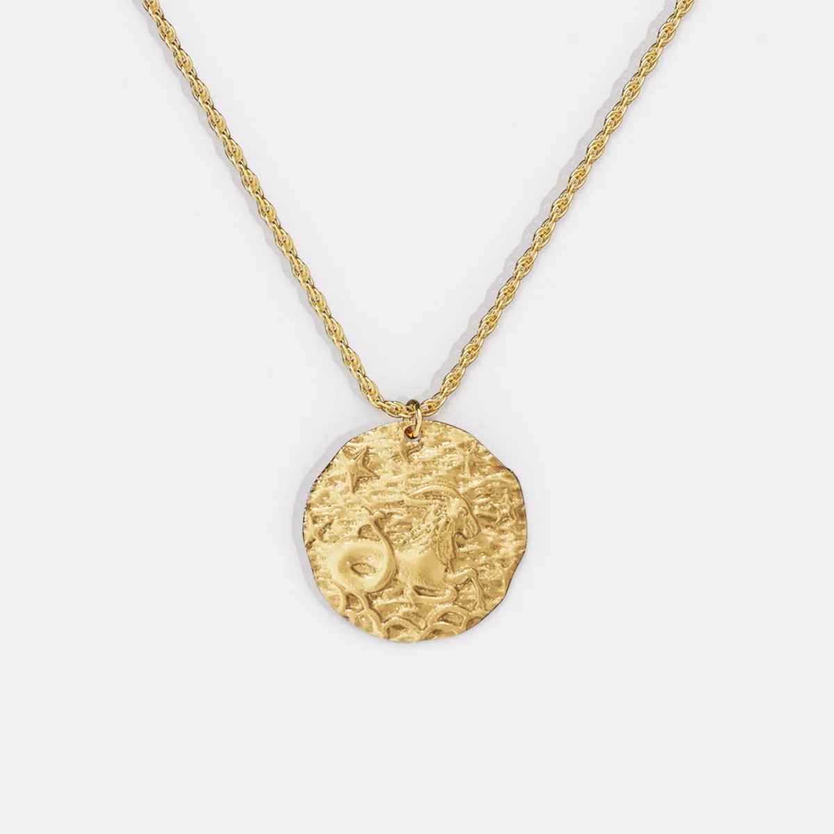 Hammered Gold Zodiac Pendant Necklace