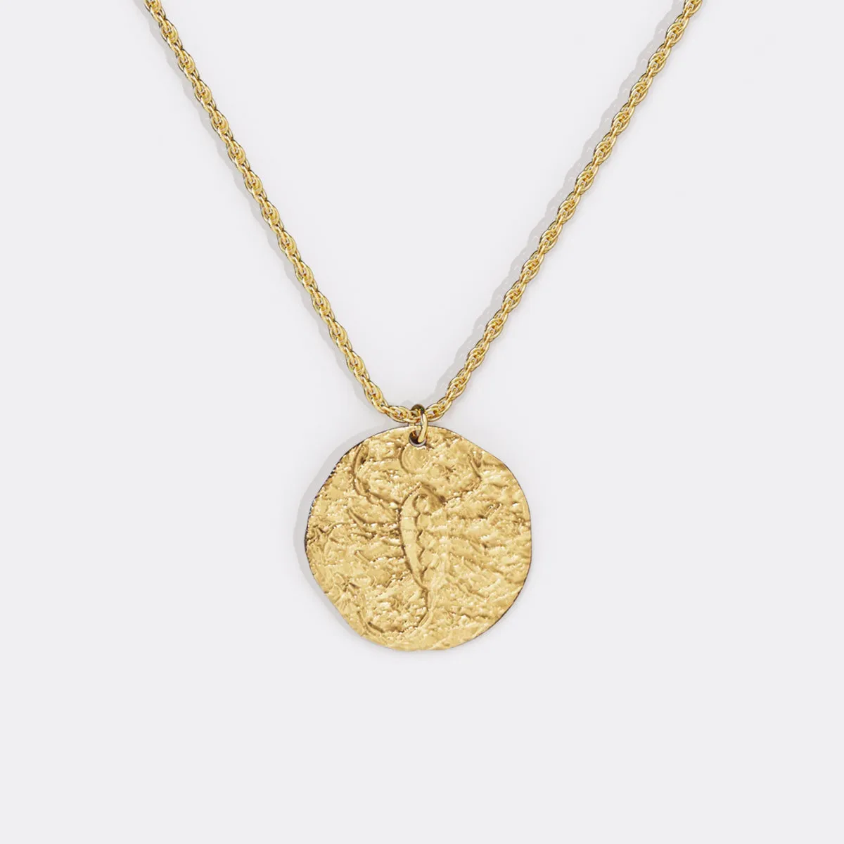 Hammered Gold Zodiac Pendant Necklace