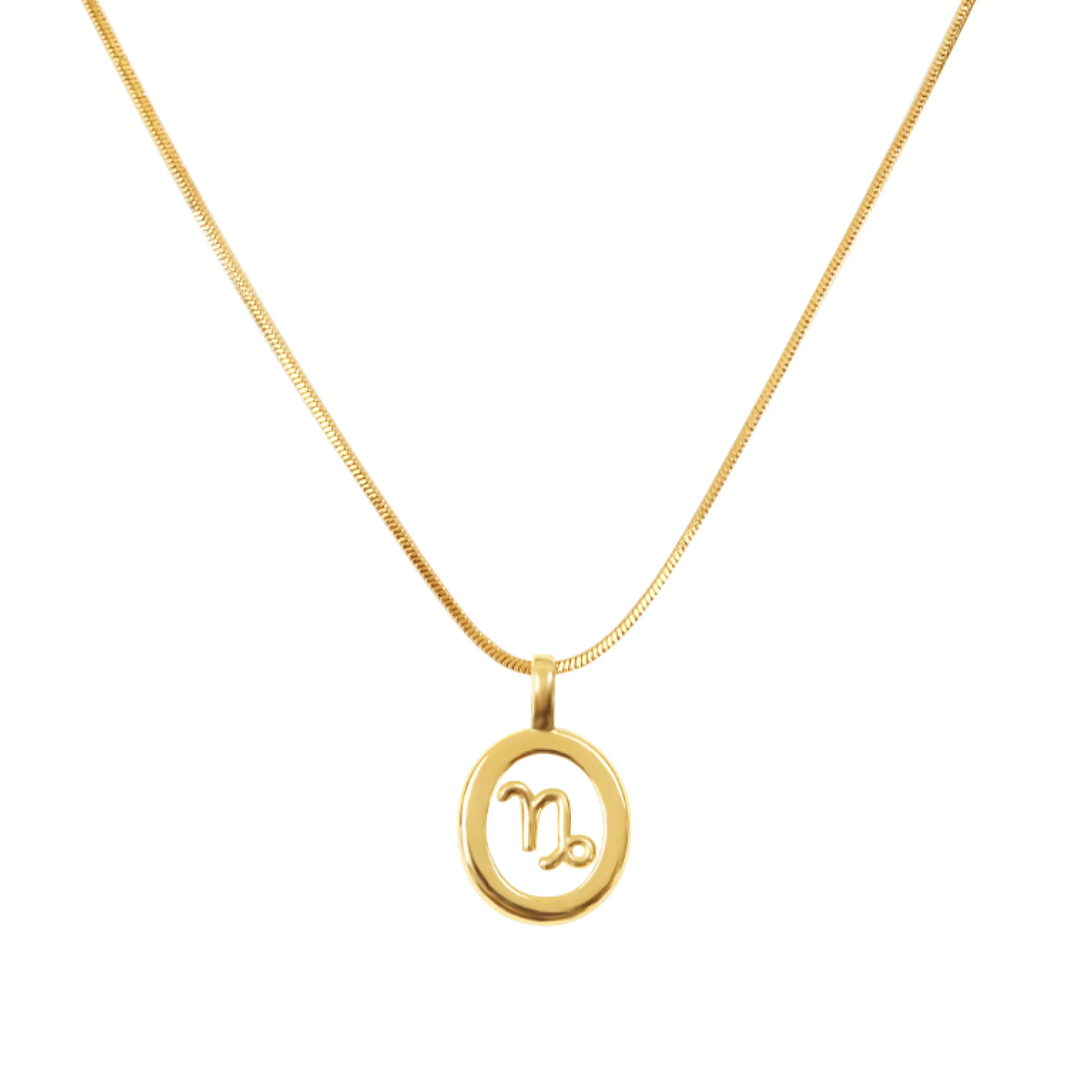 Zodiac Necklace - Capricorn